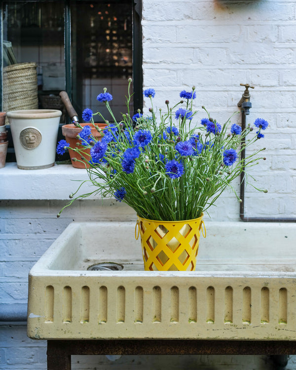 Trellis Planter, Yellow