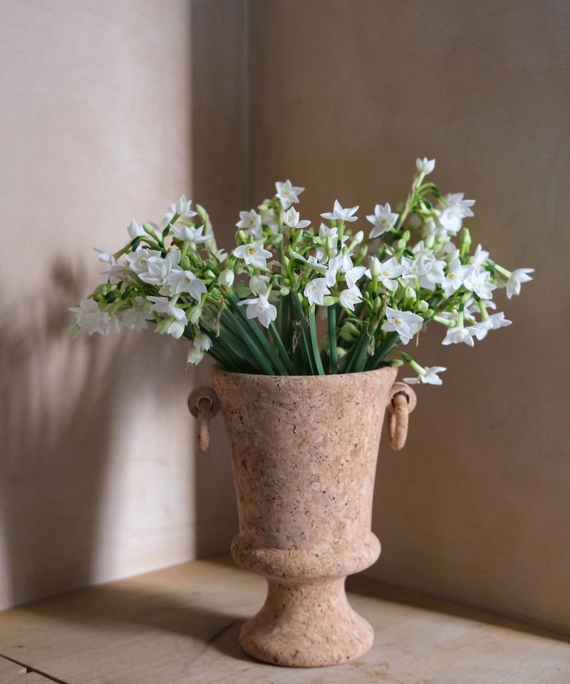 Cork Urn, Small