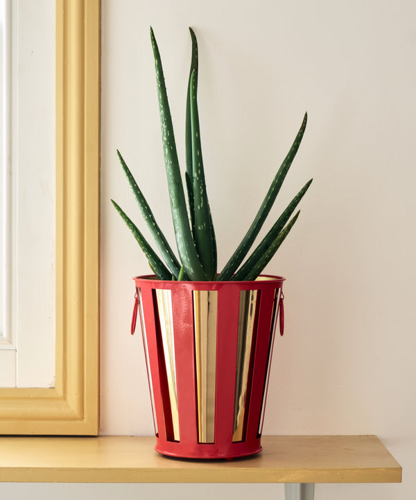 Striped Planter, Coral Red