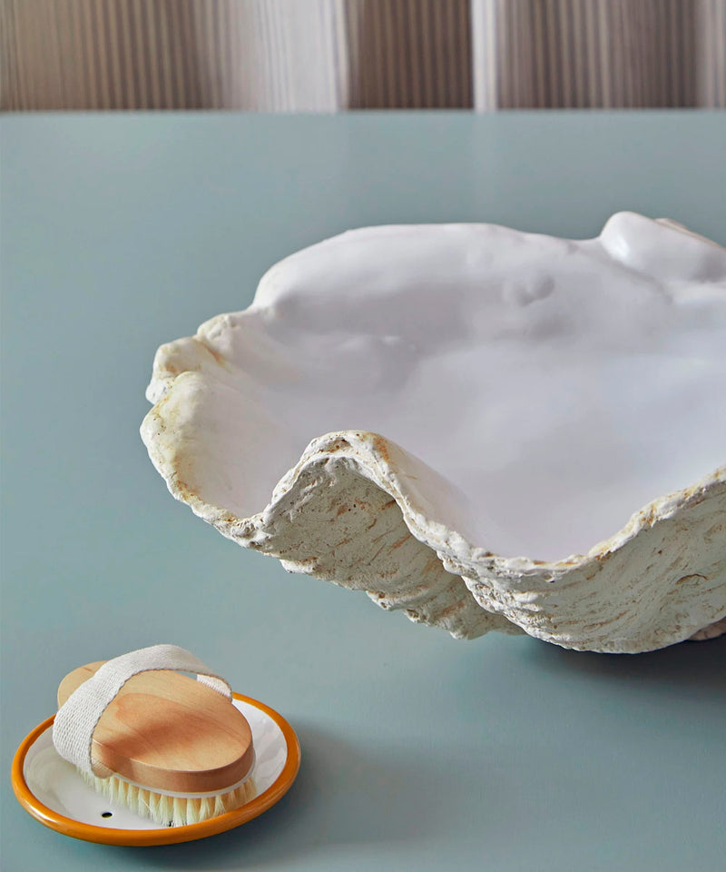 Giant Clam Shell, Classic In White